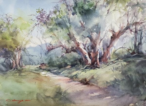 Sycamore Grove, James Delley Preserve by Shuang Li