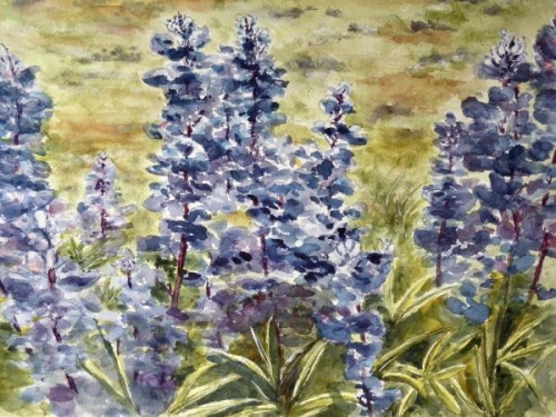 Crested Butte Wildflowers by Linda Bienhoff