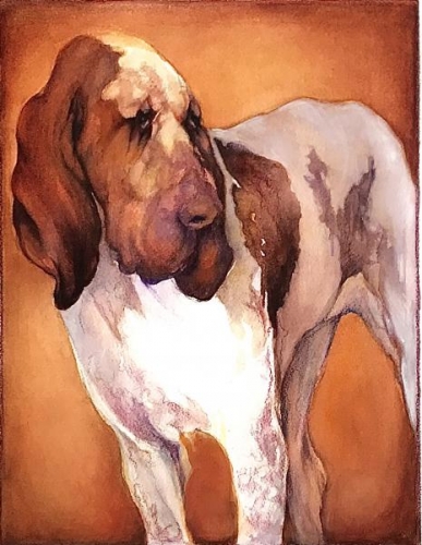 Hound Dawg by Ann Slater