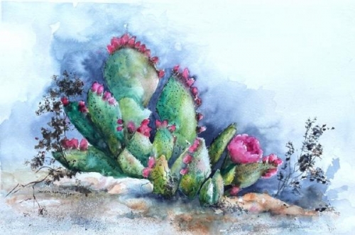 Desert Roses - First Bloom by Sandra Seckington